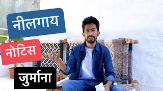 नीलगाय - नोटिस - जुर्माना | Neelgaay - Notice - Jurmana |