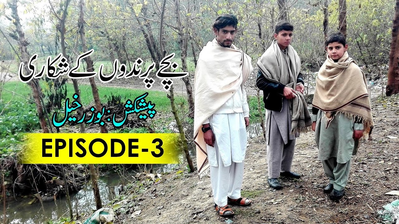 Birds Hunting in My Village | Zarobi TV | Raptors in Action Witness the Art of Birds Hunting