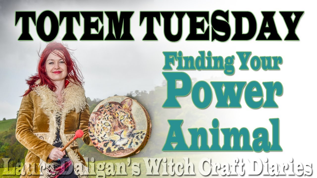 Totem Tuesday - Finding Your Power Animal