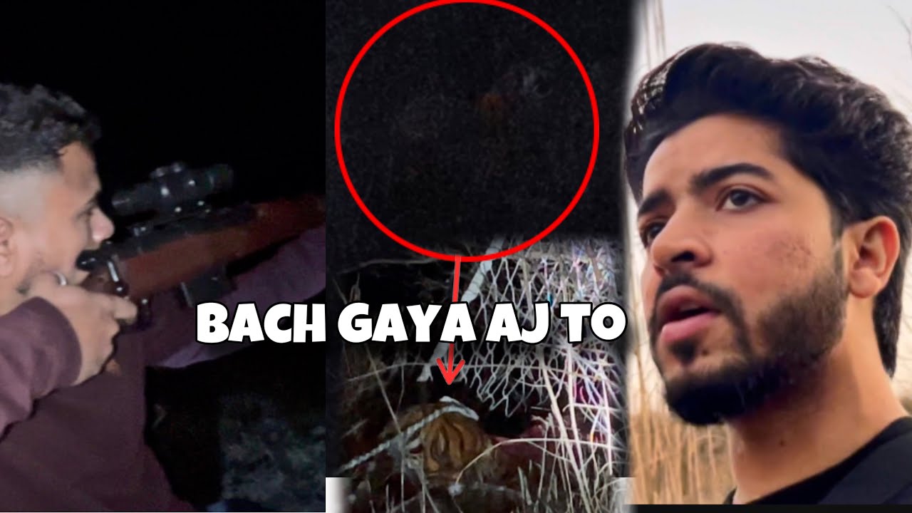 Bhag gaya leopard 🐆 trap se 😳