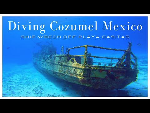 Diving Cozumel Mexico ! Exploring the Ship Wreck off Playa Casitas