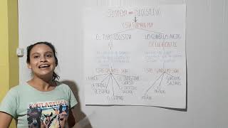 MAPA MENTAL SISTEMA DIGESTIVO