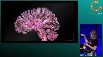 Lucy Fauth: After the Metaverse: An Introduction to Brain–machine interfaces