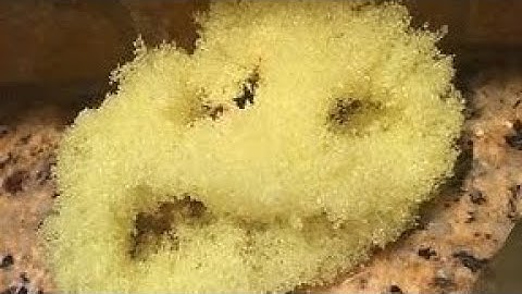 doing hardmode cluster one