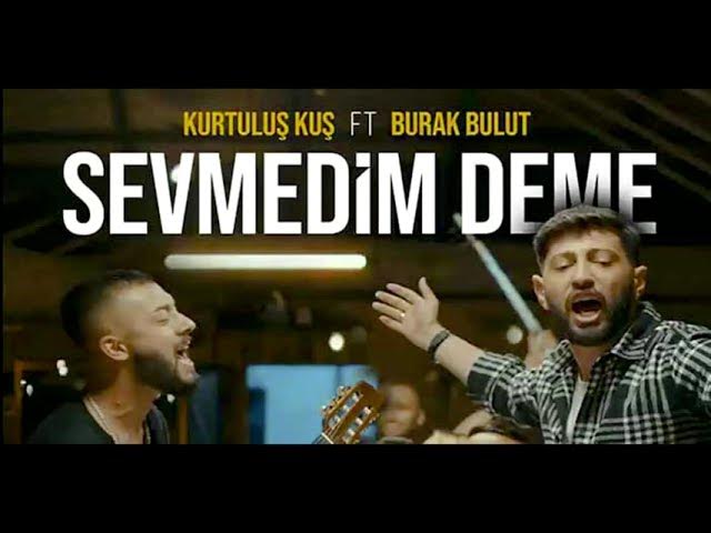 Kichkina mushukchalarda katta yaralar