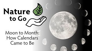 Nature to Go | From Moon to Month: How Calendars Came to Be
