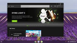 How to get geforce now on chromebook and smooth gameplay screenshot 4