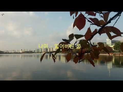 나미 - 잃어버린 꿈(1984) kpop