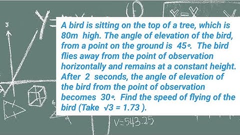 A bird is sitting on the top of a tree, which is 80m high. The angle of elevation of the bird, from