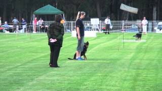 Revan - 8 Dec 2012 - Novice Obedience Q - 188/200 by Team Pawformance 297 views 11 years ago 4 minutes, 35 seconds