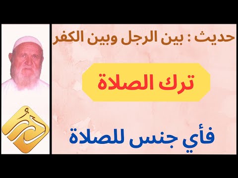 الشيخ الألباني حديث بين الرجل وبين الكفر ترك الصلاة