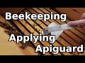 Evening beekeeping, applying Apiguard