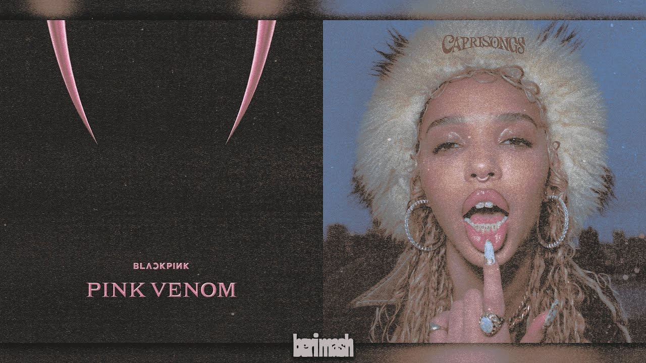 'papi's venom' (pink venom x papi bones) - BLACKPINK, FKA twigs, shygirl | mashup ⋆˖