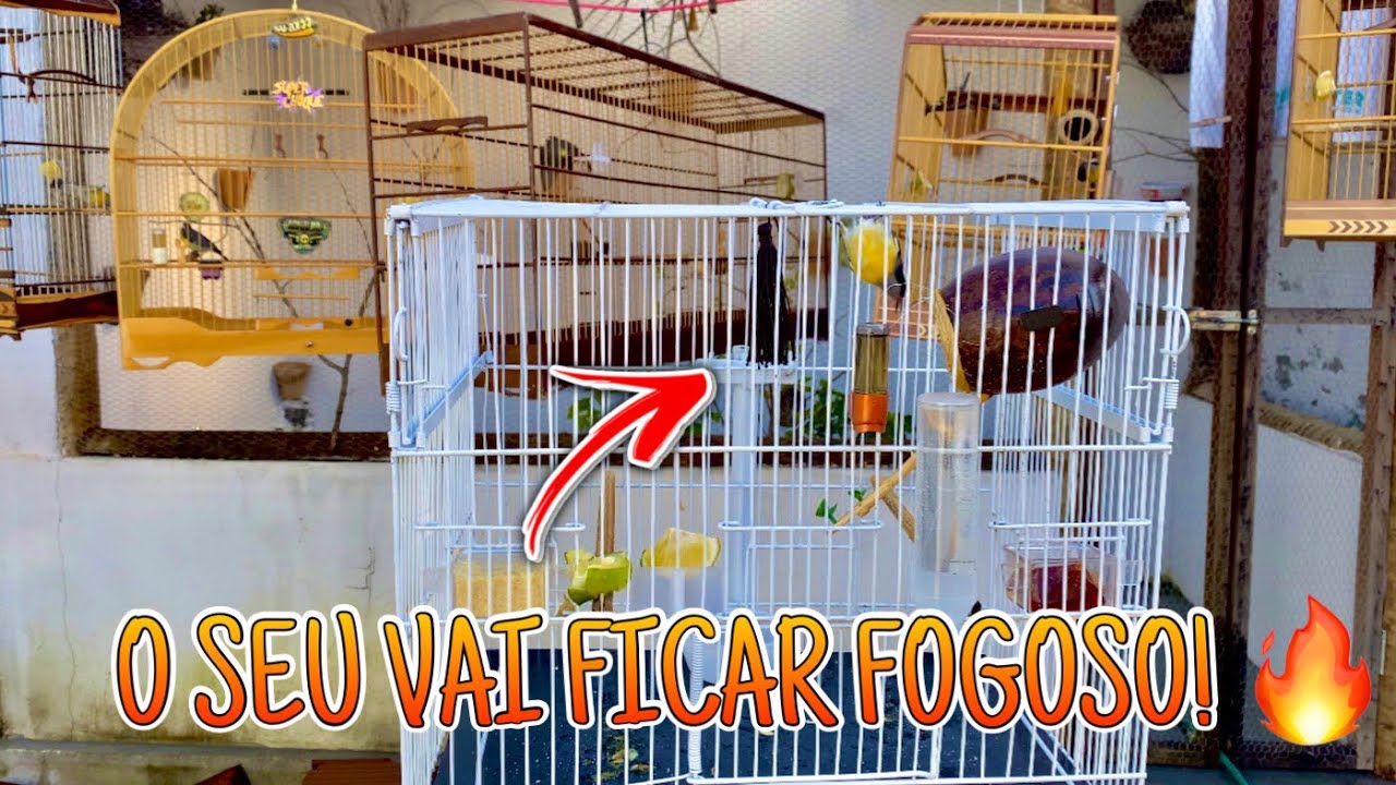 🥇 DEIXE O SEU SIBITE FOGOSO EM 10 MINUTOS ! 🔥