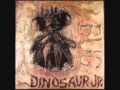 Dinosaur Jr - Yeah We Know