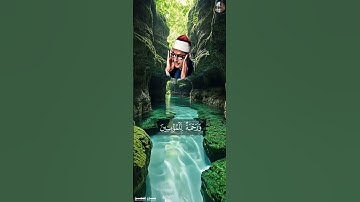 وَنُنَزِّلُ مِنَ ٱلۡقُرۡءَانِ مَا هُوَ شِفَآءٞ [ سورة الإسراء , ٨٢ ] - محمد صديق المنشاوي  #قرآن