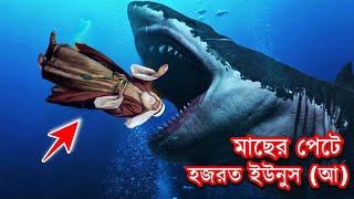 ইউনুস নবী মাছের পেটে যাওয়ার ঘটনা | হযরত ইউনুস (আঃ) ও মাছের অলৌকিক কাহিনী |