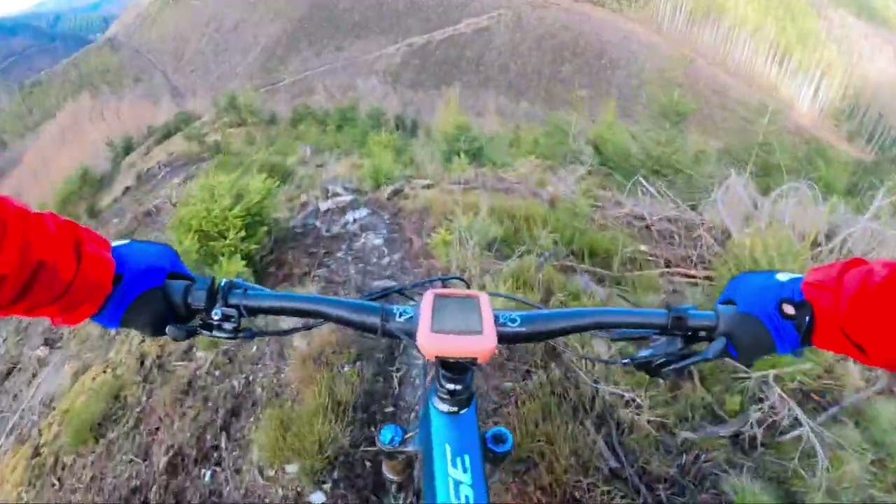 MTB Enduro Camp Belgien - feinste Trails, Pommes & mehr 🚴🍟☀️👍