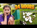 24 hours in an animal enclosure part 1