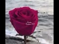 شيلة لاتخليني حمد العازمي 