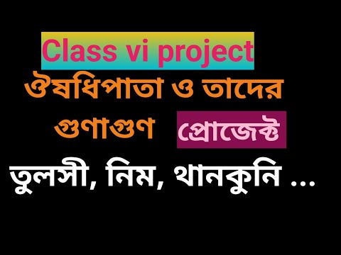 ভিডিও: বারডক: ঔষধি বৈশিষ্ট্য এবং contraindications. বারডকের ঔষধি বৈশিষ্ট্য এবং ঐতিহ্যগত ওষুধের রেসিপি