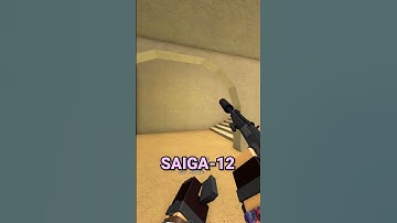 The Top 5 BEST Shotguns in Phantom Forces