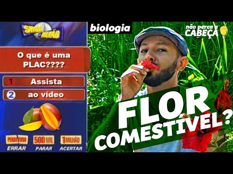 PLANTAS ALIMENTÍCIAS NÃO
