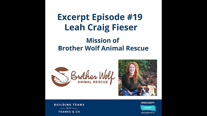 Building Teams Podcast - Episode #19 Excerpt - Lea...
