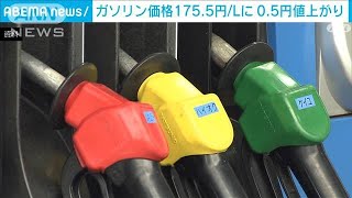 ガソリン価格が0.5円値上がり　175.5円に(2024年1月11日)