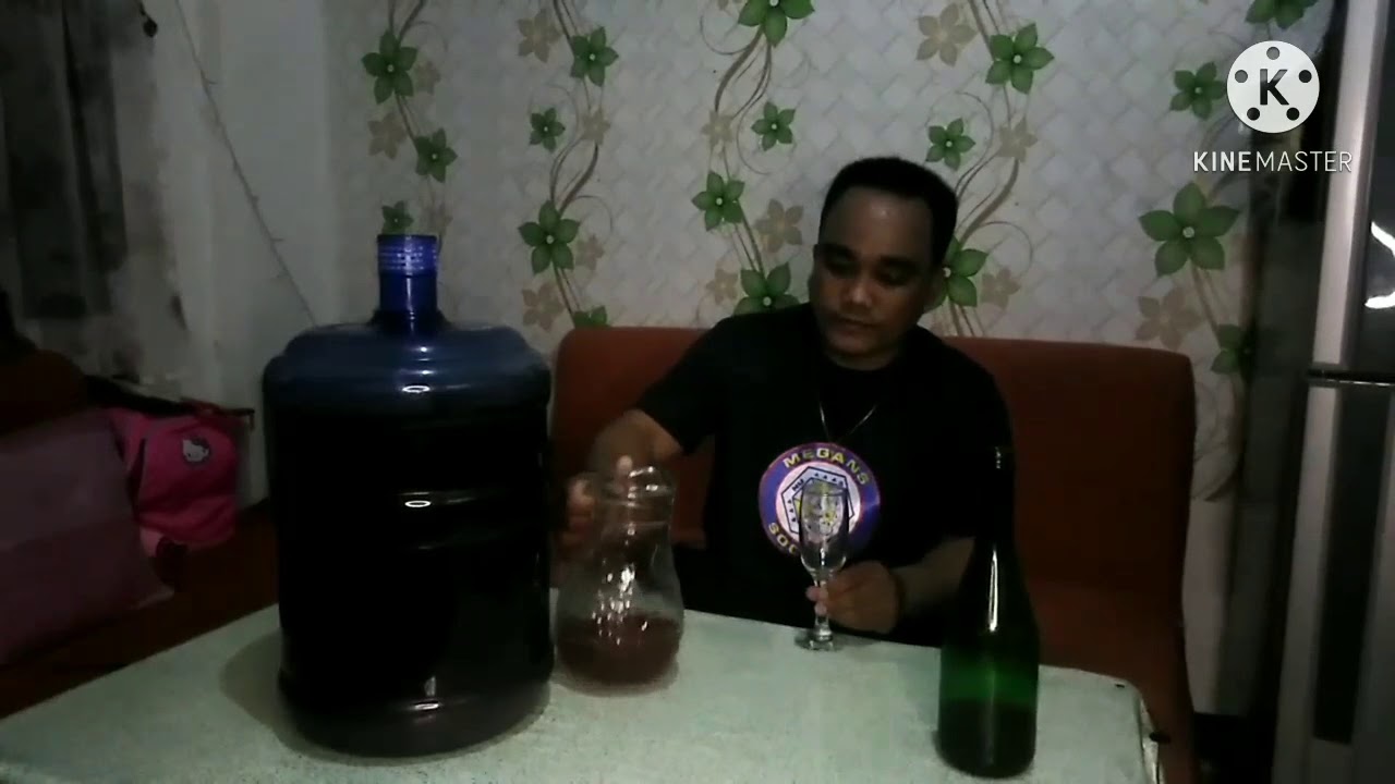 Pretaste DIY Mangosteen Wine after 2 months processed of fermentation