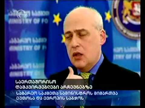 საერთაშორისო დამკვირვებლები