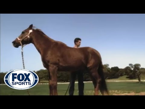 http://www.foxsports.com FOX Saturday Baseball. Did you ever dream of being an MLB Catcher? So did this guyâuntil we added a horse to the mix.