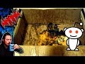 The Reddit Cumbox - Tales From the Internet