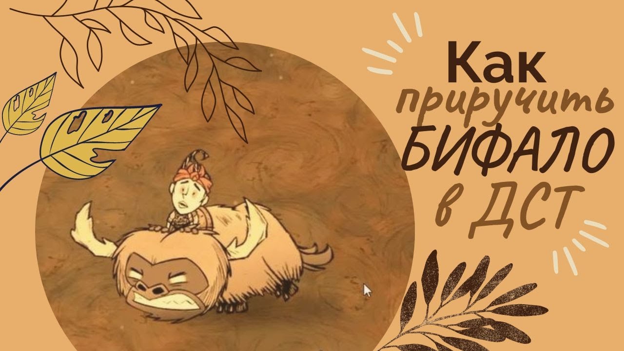 Как приручить бифало. Дст бифало приручение. бифало дст. дст на какой день заводить бифало.