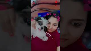 Elakkiya Tiktok Troll Very Hot latest