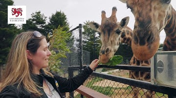 Where the future looks good | University of Tasmania