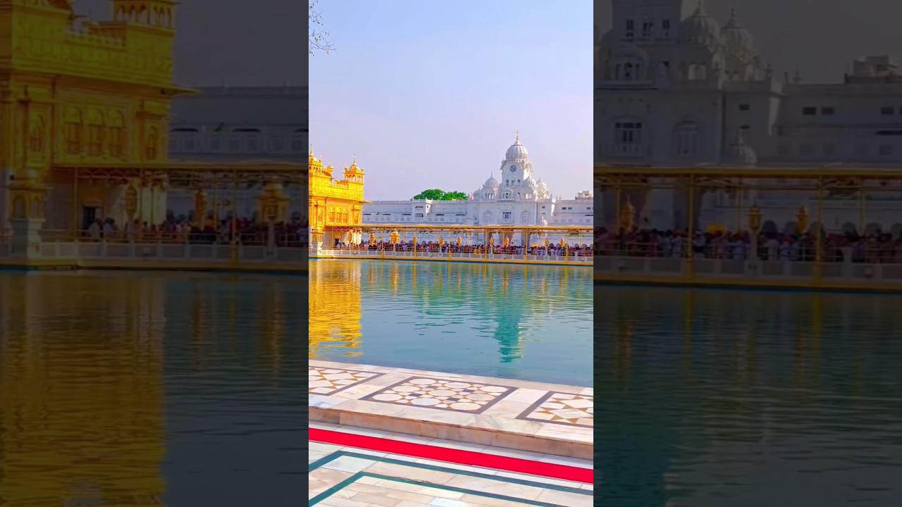 ik Tera Sahara Mil Jaye Data 🙏.                                    #wmk #waheguru #goldentemple