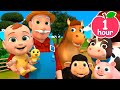 Old macdonald had a farm  newborn baby songs  nursery rhymes