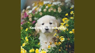 Smooth Moods for Spirited Flow
