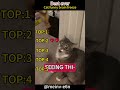 #CatVideo #FunnyAnimal #FluffyKitten