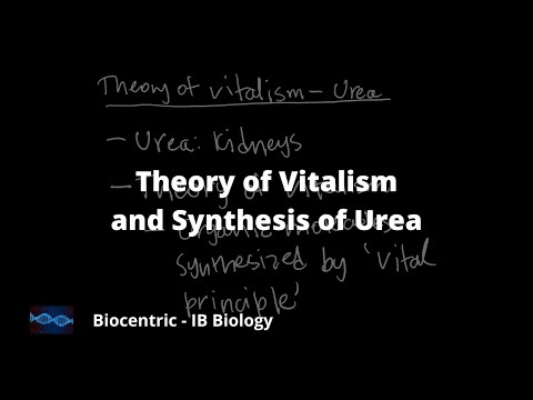 Theory of Vitalism and the Synthesis of Urea (IB Biology Unit 2.1) [Nature of Science]