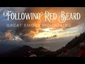 Backpacking the Smoky Mountains • 64 Mile Loop