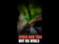 Spider-Noir Trailer: Why His World Is Everything