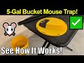 It really works reusable 5gal bucket mouse trap by gardenix decor