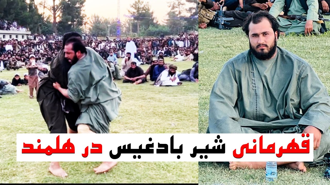 مسابقه شیر بادغیس با پهلوانان قدرتمند هلمند