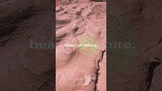 Beats Of Nature - Session 6  - We Are Back #shorts #short