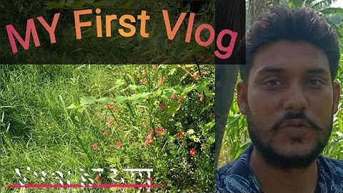My First Vlog 😂 || My First Vlog Video 2024 || #myfirstvlog #firstvlog #viralvlog #vlog #minivlog