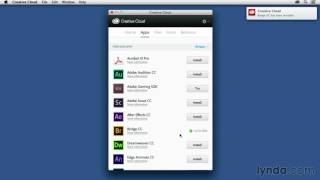 Adobe Photoshop Tutorial - 02 03 Installing Adobe Bridge