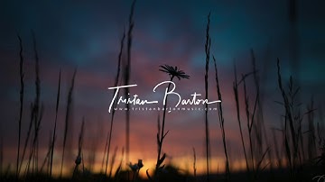 Interlude - Tristan Barton