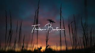 Interlude - Tristan Barton